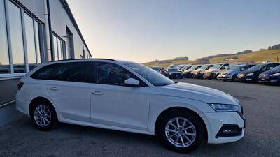 Skoda Octavia Gebrauchtwagen