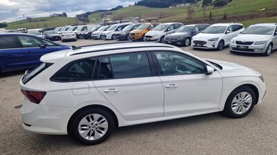 Skoda Octavia Gebrauchtwagen