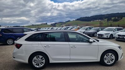Skoda Octavia Gebrauchtwagen
