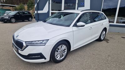 Skoda Octavia Gebrauchtwagen