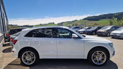 Audi Q5 Gebrauchtwagen