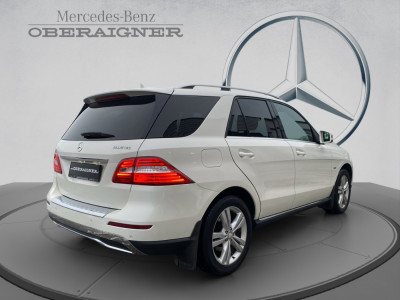 Mercedes-Benz ML Gebrauchtwagen