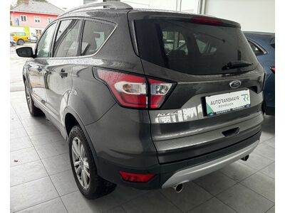 Ford Kuga Gebrauchtwagen