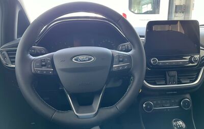 Ford Fiesta Tageszulassung