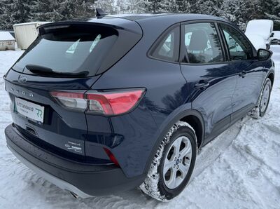 Ford Kuga Gebrauchtwagen