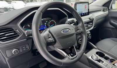 Ford Kuga Gebrauchtwagen