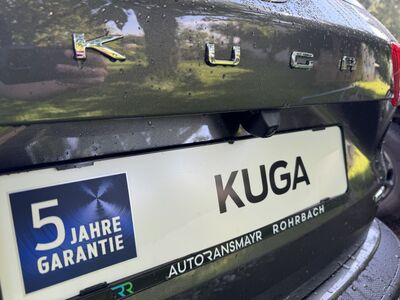 Ford Kuga Vorführwagen