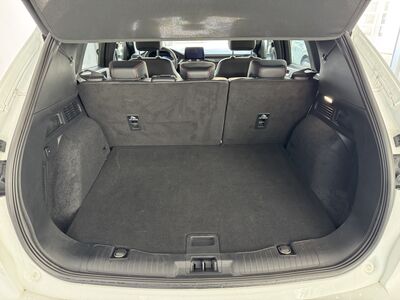 Ford Kuga Gebrauchtwagen Ford Kuga Gebrauchtwagen