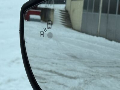 Ford EcoSport Gebrauchtwagen