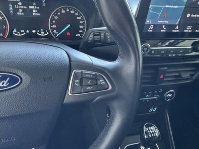 Ford EcoSport Gebrauchtwagen