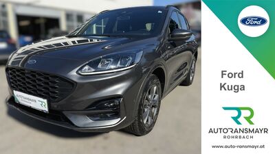 Ford Kuga Gebrauchtwagen