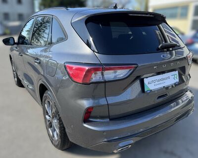 Ford Kuga Gebrauchtwagen