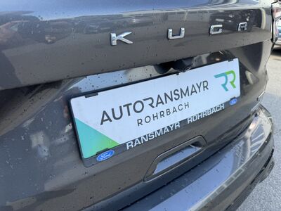 Ford Kuga Gebrauchtwagen