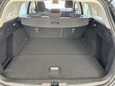 Ford Focus Vorführwagen