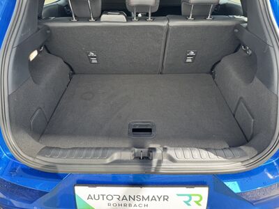 Ford Puma Gebrauchtwagen Ford Puma Gebrauchtwagen
