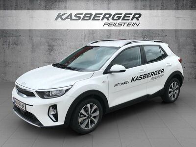 KIA Stonic Vorführwagen