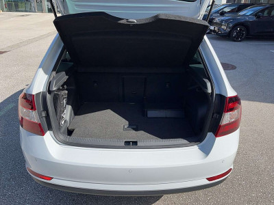 Skoda Rapid Gebrauchtwagen