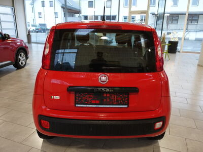 Fiat Panda Gebrauchtwagen