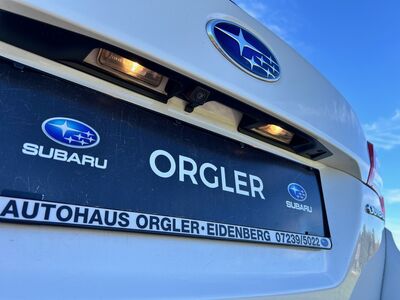 Subaru Outback Gebrauchtwagen Subaru Outback Gebrauchtwagen