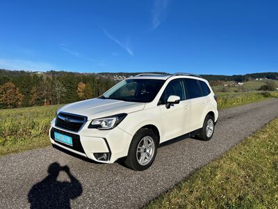 Subaru Forester Gebrauchtwagen Subaru Forester Gebrauchtwagen