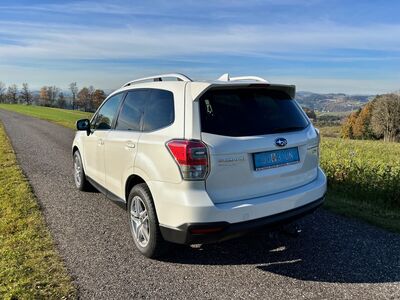 Subaru Forester Gebrauchtwagen Subaru Forester Gebrauchtwagen