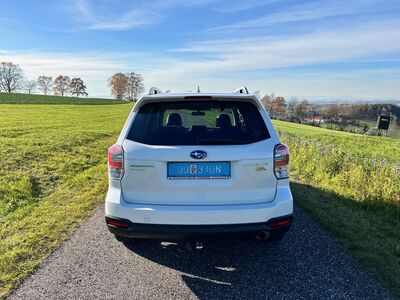 Subaru Forester Gebrauchtwagen Subaru Forester Gebrauchtwagen