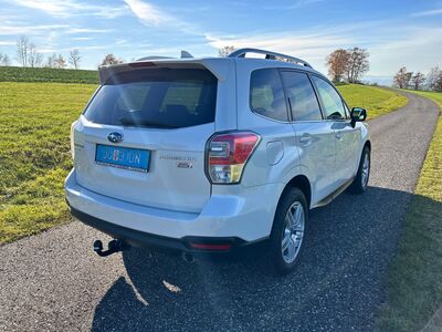 Subaru Forester Gebrauchtwagen Subaru Forester Gebrauchtwagen