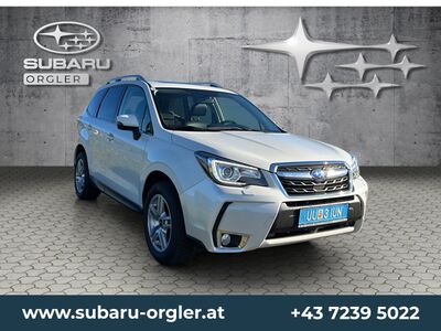 Subaru Forester Gebrauchtwagen Subaru Forester Gebrauchtwagen