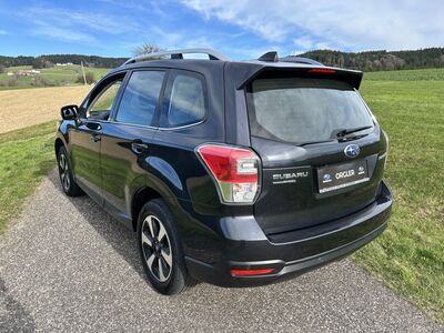 Subaru Forester Gebrauchtwagen