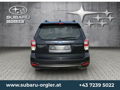 Subaru Forester Gebrauchtwagen