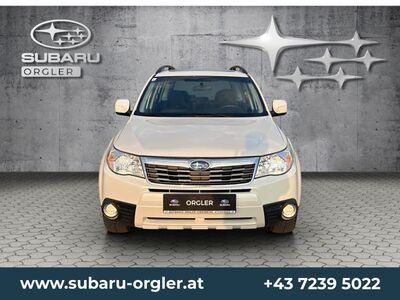 Subaru Forester Gebrauchtwagen