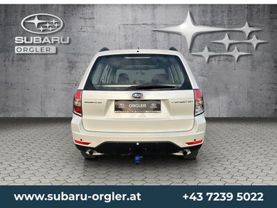 Subaru Forester Gebrauchtwagen