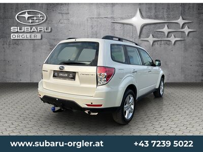 Subaru Forester Gebrauchtwagen