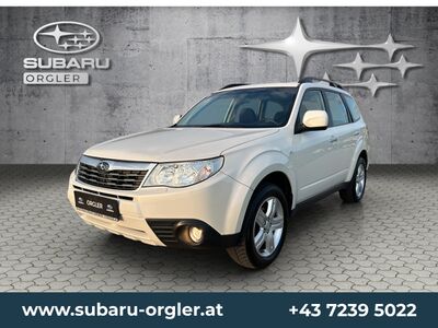 Subaru Forester Gebrauchtwagen
