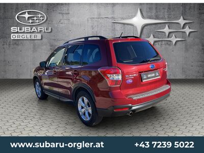 Subaru Forester Gebrauchtwagen