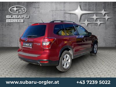 Subaru Forester Gebrauchtwagen