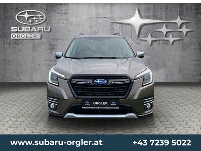 Subaru Forester Gebrauchtwagen Subaru Forester Gebrauchtwagen