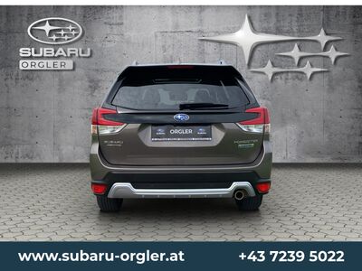 Subaru Forester Gebrauchtwagen Subaru Forester Gebrauchtwagen