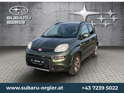 Fiat Panda Gebrauchtwagen Fiat Panda Gebrauchtwagen