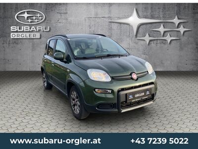 Fiat Panda Gebrauchtwagen Fiat Panda Gebrauchtwagen
