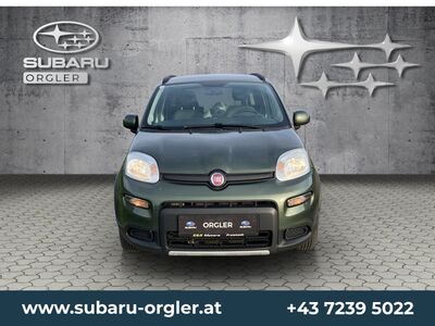 Fiat Panda Gebrauchtwagen Fiat Panda Gebrauchtwagen