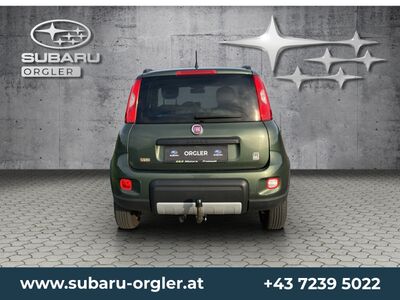 Fiat Panda Gebrauchtwagen Fiat Panda Gebrauchtwagen