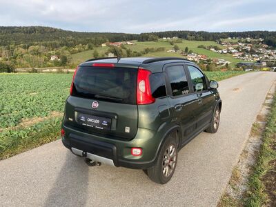 Fiat Panda Gebrauchtwagen Fiat Panda Gebrauchtwagen