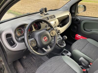 Fiat Panda Gebrauchtwagen Fiat Panda Gebrauchtwagen
