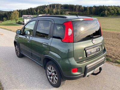 Fiat Panda Gebrauchtwagen Fiat Panda Gebrauchtwagen