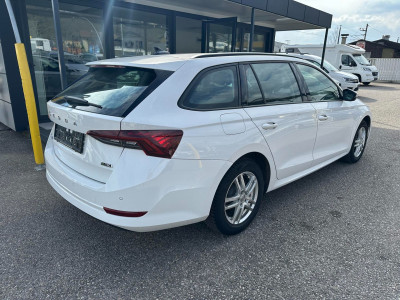 Skoda Octavia Gebrauchtwagen Skoda Octavia Gebrauchtwagen