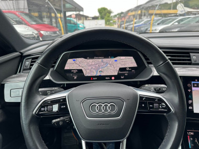 Audi Q8 e-tron Gebrauchtwagen