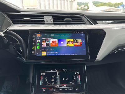 Audi Q8 e-tron Gebrauchtwagen