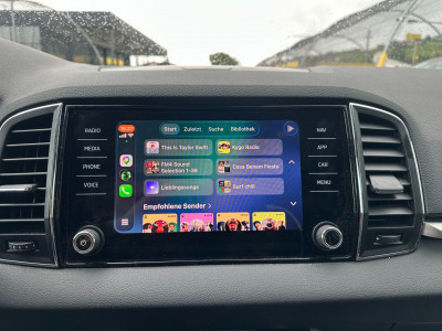 Skoda Karoq Gebrauchtwagen