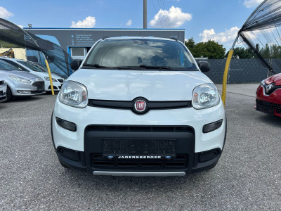 Fiat Panda Gebrauchtwagen Fiat Panda Gebrauchtwagen